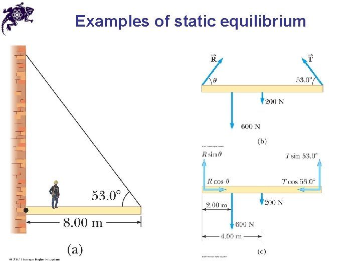 Examples of static equilibrium Examples of static equilibrium