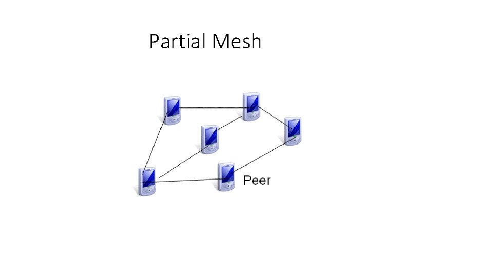 Partial Mesh 