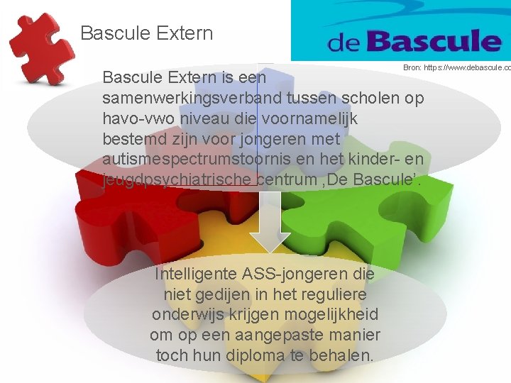 Bascule Extern Bron: https: //www. debascule. co Bascule Extern is een samenwerkingsverband tussen scholen