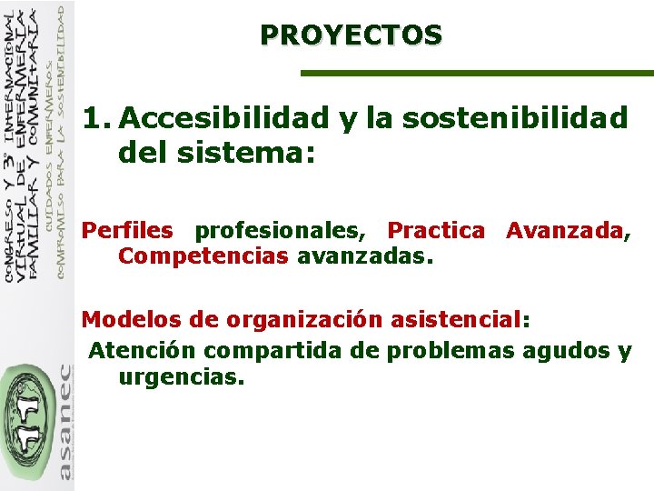 PROYECTOS 1. Accesibilidad y la sostenibilidad del sistema: Perfiles profesionales, Practica Avanzada, Competencias avanzadas.