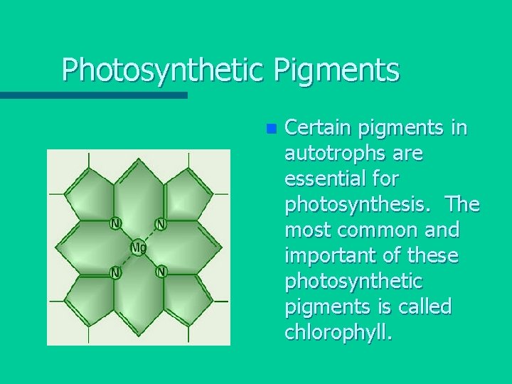 Photosynthetic Pigments n Certain pigments in autotrophs are essential for photosynthesis. The most common