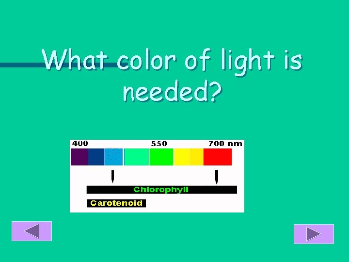 What color of light is needed? 