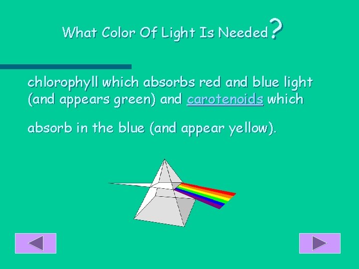 ? What Color Of Light Is Needed chlorophyll which absorbs red and blue light