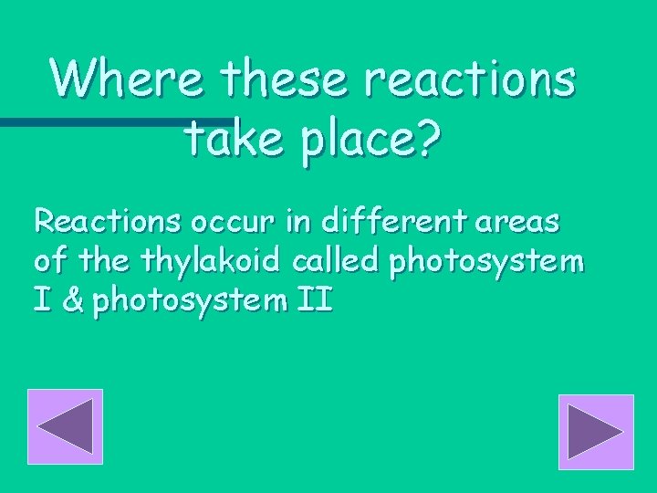 Where these reactions take place? Reactions occur in different areas of the thylakoid called