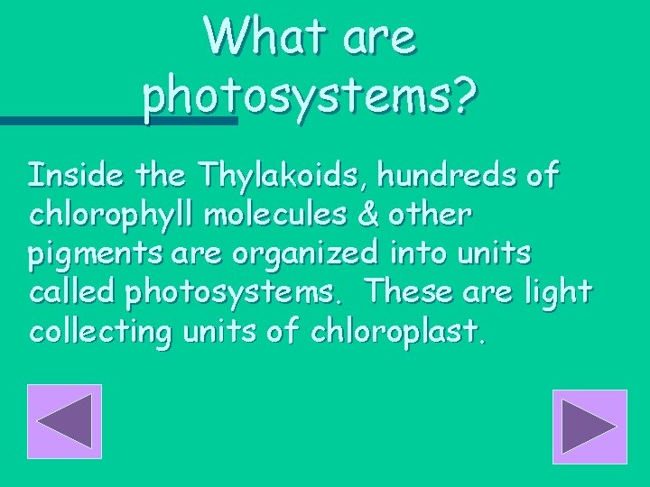 What are photosystems? Inside the Thylakoids, hundreds of chlorophyll molecules & other pigments are