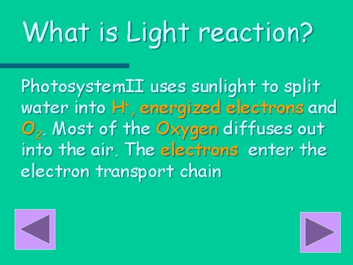 What is Light reaction? Photosystem. II uses sunlight to split water into H+, energized