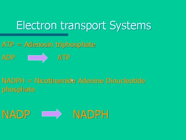 Electron transport Systems ATP = Adenosin triphosphate ADP ATP NADPH = Nicotinamide Adenine Dinucleotide