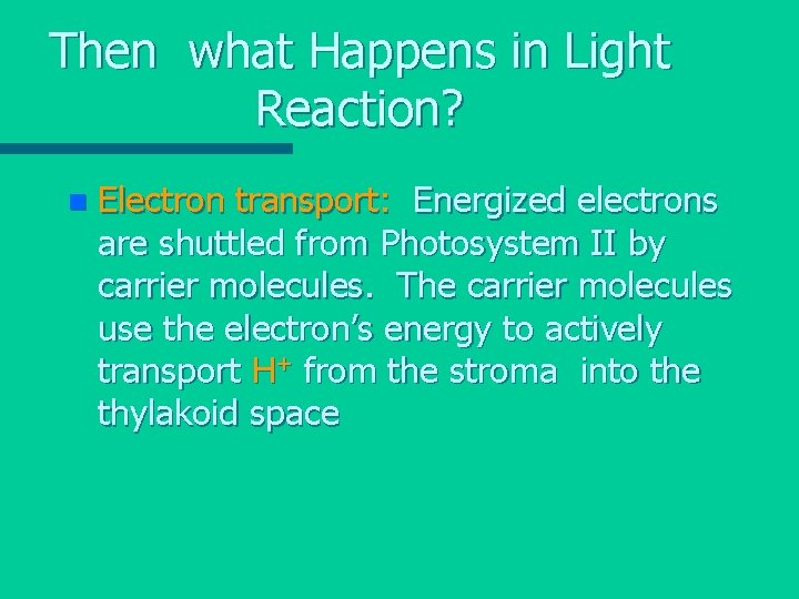 Then what Happens in Light Reaction? n Electron transport: Energized electrons are shuttled from