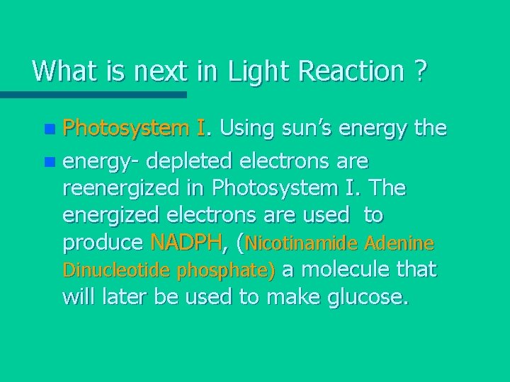 What is next in Light Reaction ? Photosystem I. Using sun’s energy the n