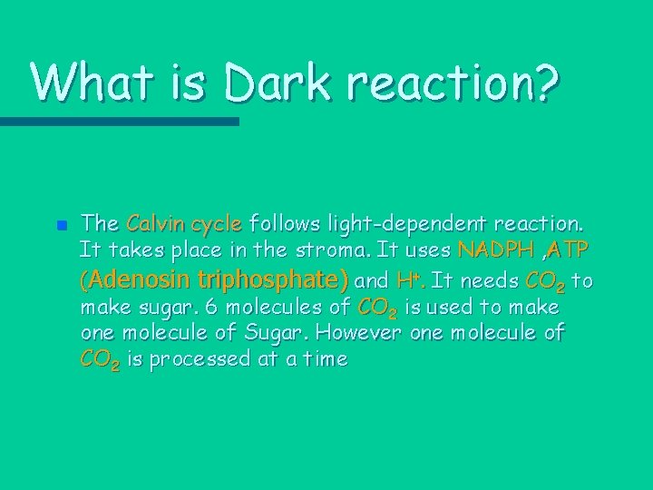 What is Dark reaction? n The Calvin cycle follows light-dependent reaction. It takes place