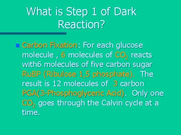 What is Step 1 of Dark Reaction? n Carbon Fixation: For each glucose molecule