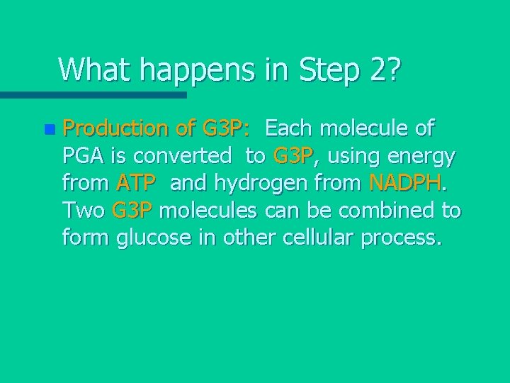 What happens in Step 2? n Production of G 3 P: Each molecule of