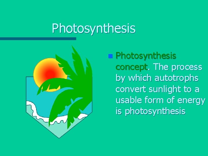 Photosynthesis n Photosynthesis concept. The process by which autotrophs convert sunlight to a usable