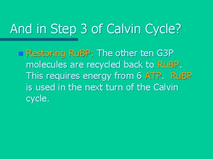 And in Step 3 of Calvin Cycle? n Restoring Ru. BP: The other ten