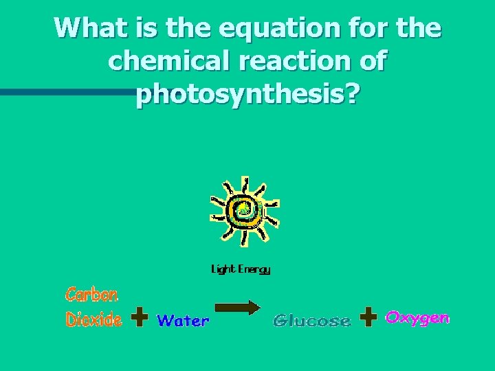 What is the equation for the chemical reaction of photosynthesis? 