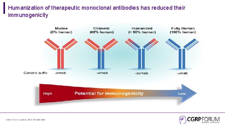 Humanization of therapeutic monoclonal antibodies has reduced their immunogenicity Foltz I N et al.