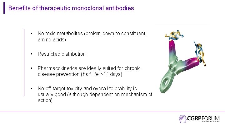 Benefits of therapeutic monoclonal antibodies • No toxic metabolites (broken down to constituent amino
