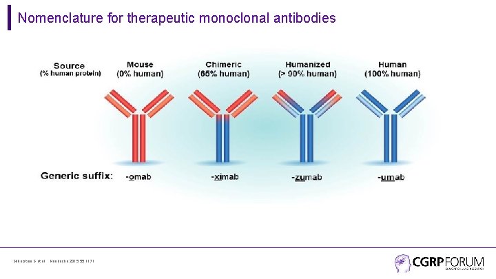 Nomenclature for therapeutic monoclonal antibodies Silberstein S et al. , Headache 2015; 55: 1171.