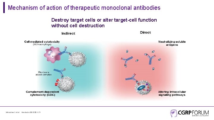 Mechanism of action of therapeutic monoclonal antibodies Destroy target cells or alter target-cell function