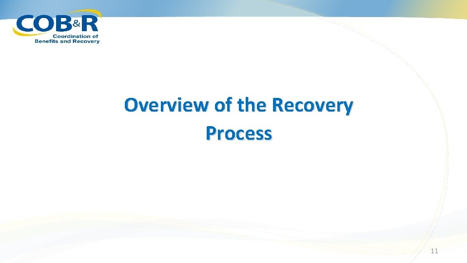 Overview of the Recovery Process 11 