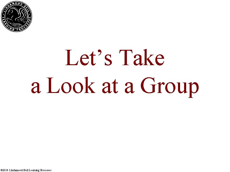 Let’s Take a Look at a Group © 2014 Lindamood-Bell Learning Processes 