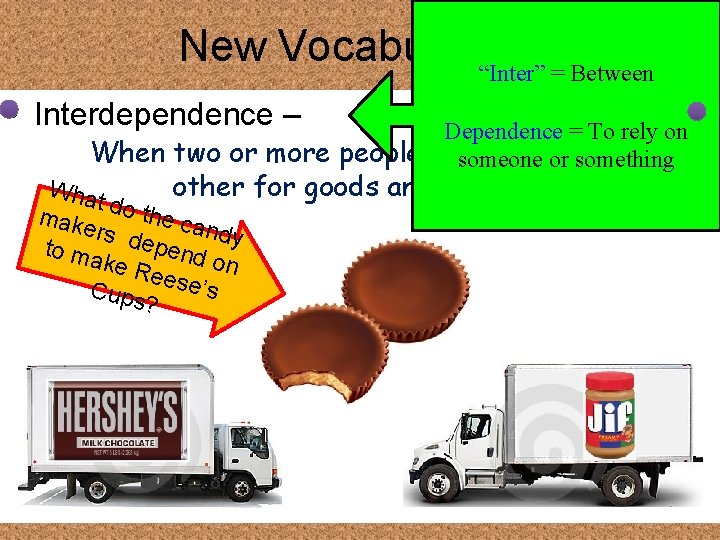 New Vocabulary… “Inter” = Between • Interdependence – Dependence = To rely on When