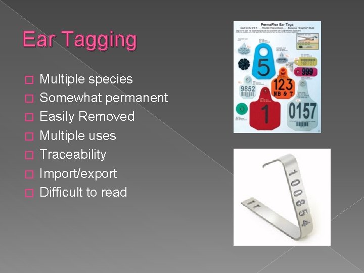 Ear Tagging � � � � Multiple species Somewhat permanent Easily Removed Multiple uses