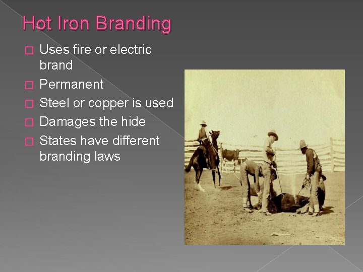 Hot Iron Branding � � � Uses fire or electric brand Permanent Steel or