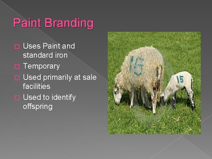 Paint Branding Uses Paint and standard iron � Temporary � Used primarily at sale