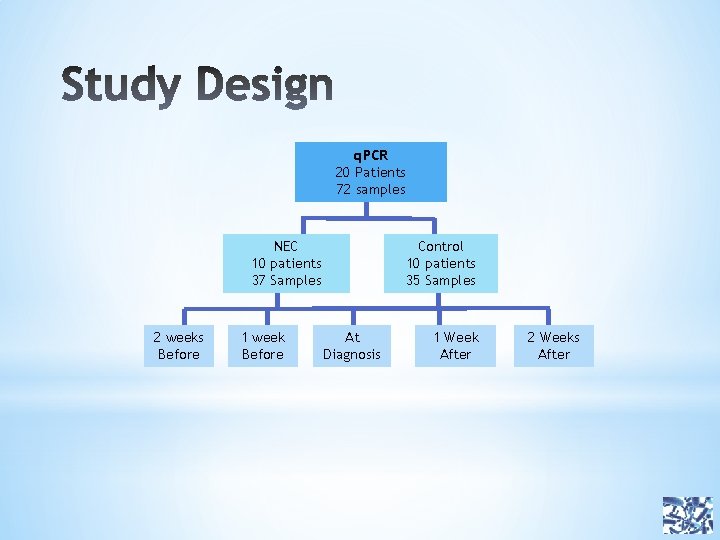 q. PCR 20 Patients 72 samples NEC 10 patients 37 Samples 2 weeks Before