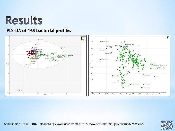 PLS-DA of 16 S bacterial profiles 