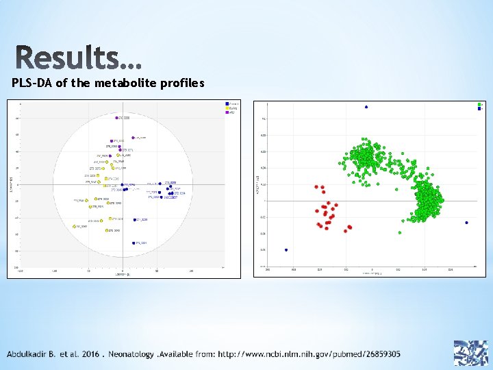 PLS-DA of the metabolite profiles 