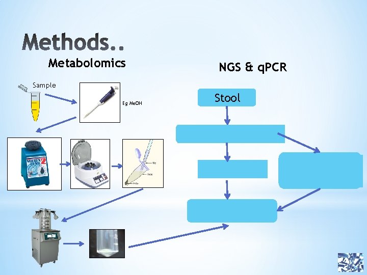 Metabolomics NGS & q. PCR Sample Eg Me. OH Stool DNA Extraction q. PCR