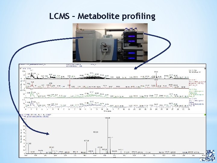 LCMS – Metabolite profiling 