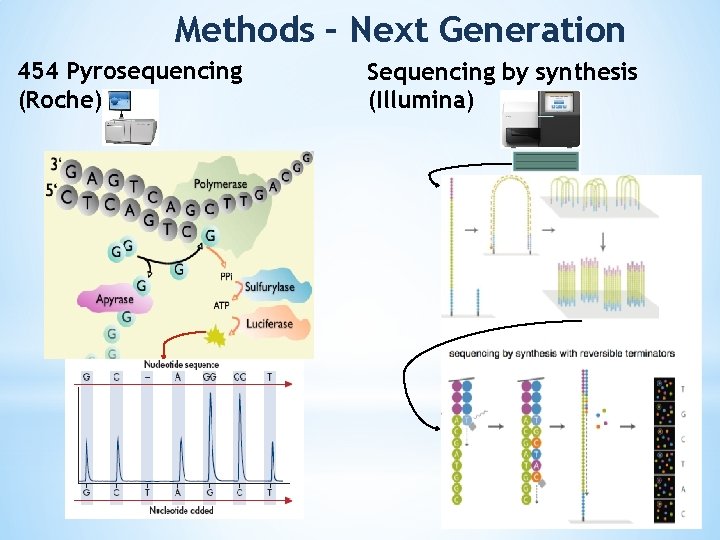 Methods – Next Generation 454 Pyrosequencing (Roche) Sequencing by synthesis (Illumina) 