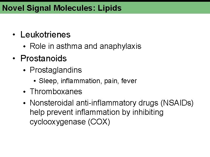 Novel Signal Molecules: Lipids • Leukotrienes • Role in asthma and anaphylaxis • Prostanoids