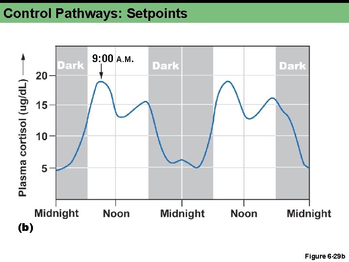 Control Pathways: Setpoints 9: 00 A. M. (b) Figure 6 -29 b 