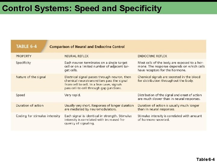 Control Systems: Speed and Specificity Table 6 -4 