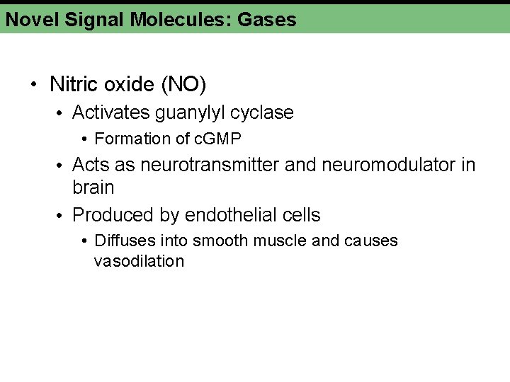 Novel Signal Molecules: Gases • Nitric oxide (NO) • Activates guanylyl cyclase • Formation