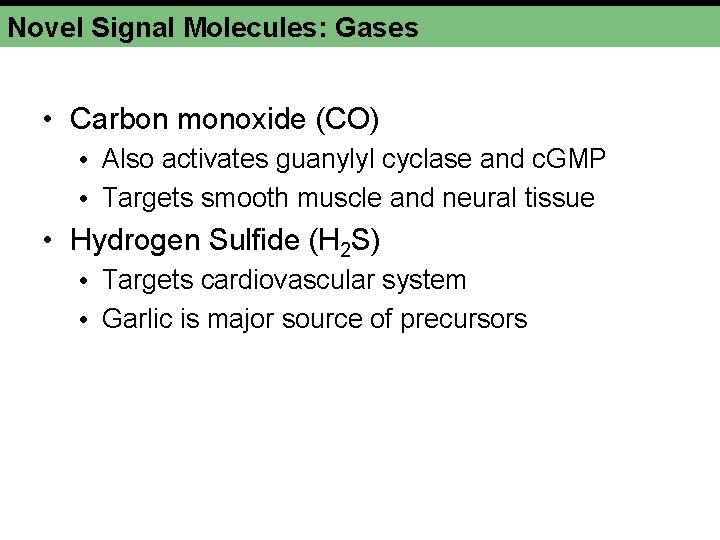 Novel Signal Molecules: Gases • Carbon monoxide (CO) • Also activates guanylyl cyclase and