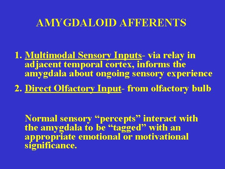 AMYGDALOID AFFERENTS 1. Multimodal Sensory Inputs- via relay in adjacent temporal cortex, informs the