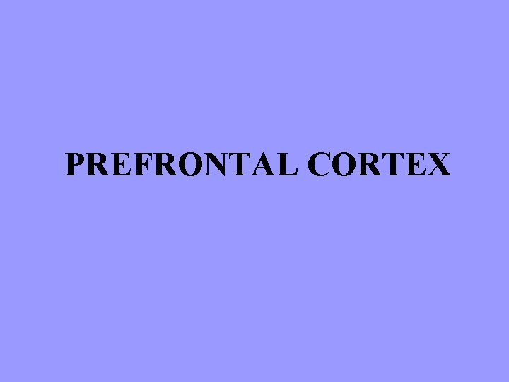 PREFRONTAL CORTEX 
