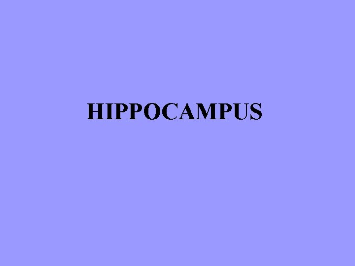 HIPPOCAMPUS 