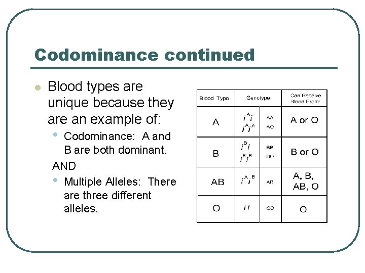 Codominance continued l Blood types are unique because they are an example of: •