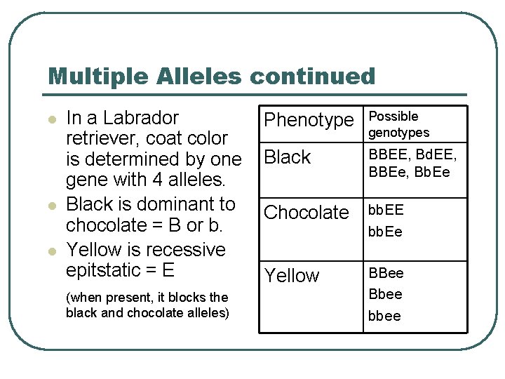 Multiple Alleles continued l l l In a Labrador retriever, coat color is determined