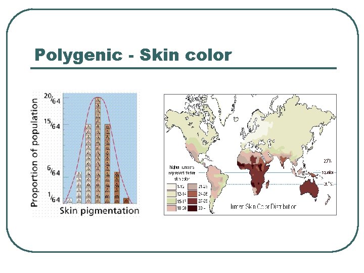 Polygenic - Skin color 