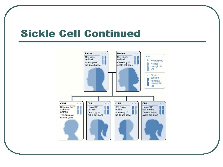 Sickle Cell Continued 