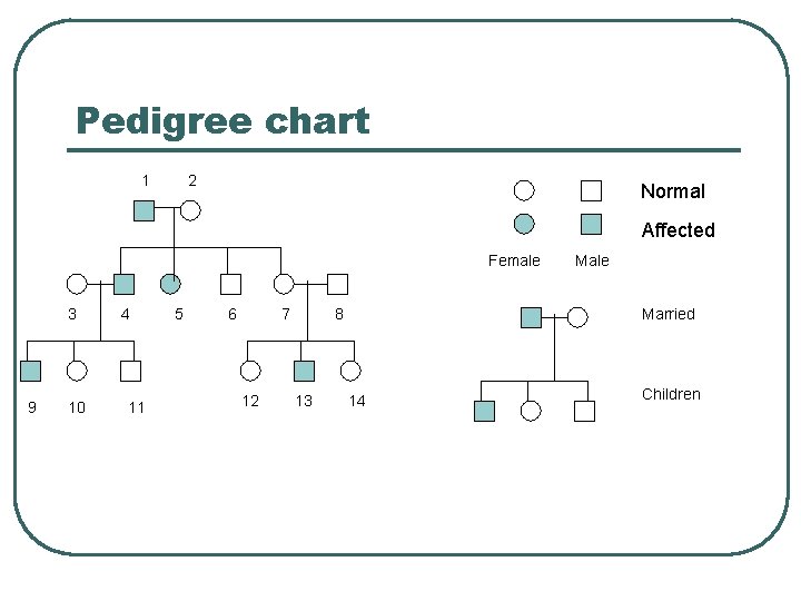 Pedigree chart 1 2 Normal Affected Female 3 9 10 4 11 5 6