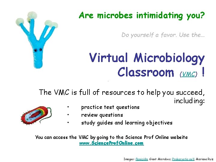 Are microbes intimidating you? Do yourself a favor. Use the… Virtual Microbiology Classroom (VMC)