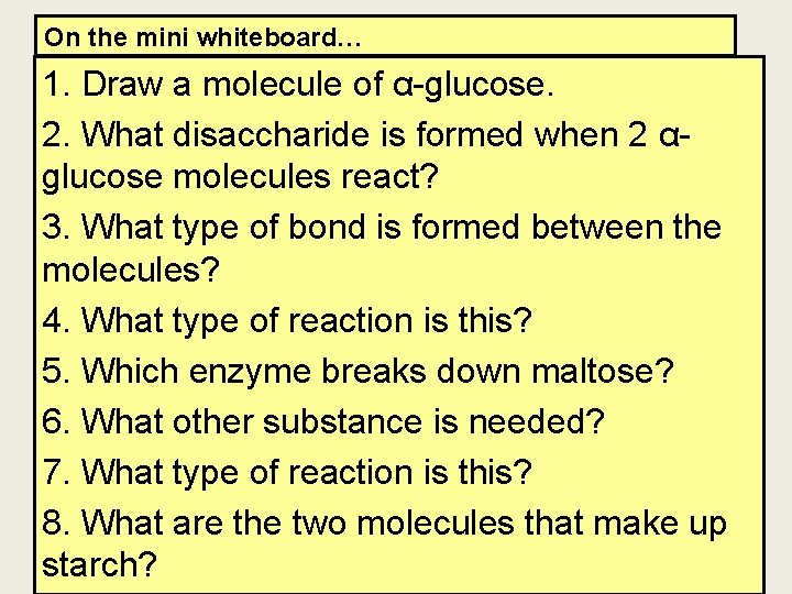 On the mini whiteboard… 1. Draw a molecule of α-glucose. 2. What disaccharide is